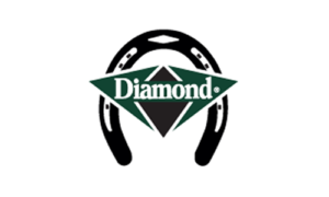 Diamond Shoeing Tools Logo